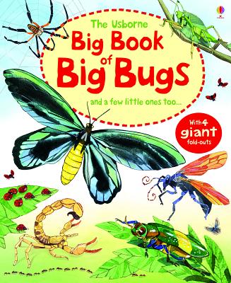 Image for The Usborne Big Book of Big Bugs: And a Few Little Ones Too...