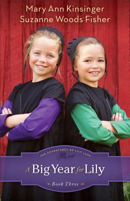 Big Year for Lily (Adventures of Lily Lapp)
