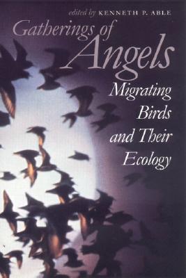 Image for Gatherings Of Angels Migrating Birds And Their Ecology