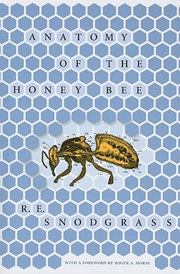 Anatomy of the Honey Bee