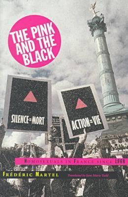 The Pink and the Black: Homosexuals in France Since 1968