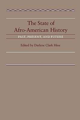 Image for The State of Afro-American History: Past, Present, Future