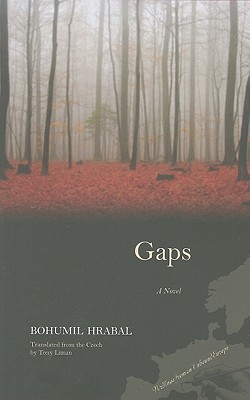Gaps: A Novel (Writings From An Unbound Europe)