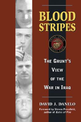 Blood Stripes : The Grunt's View of the War in Iraq