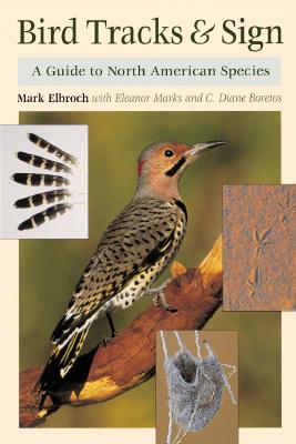 Image for Bird Tracks & Sign : A Guide to North American Species