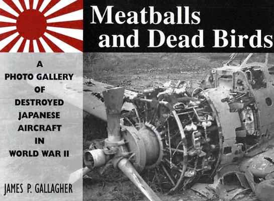 Meatballs and Dead Birds: A Photo Gallery of Destroyed Japanese Aircraft in World War II