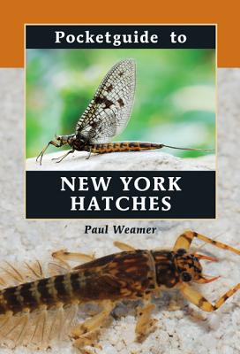 Pocketguide to New York Hatches