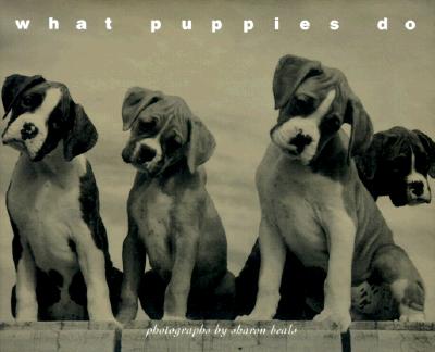 Image for What Puppies Do