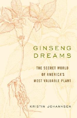 GINSENG DREAMS