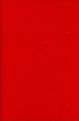Beyond Terror: Gender, Narrative, Human Rights (New Directions in International Studies)