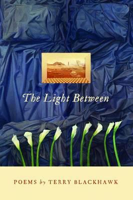 The Light Between (Made in Michigan Writers Series)