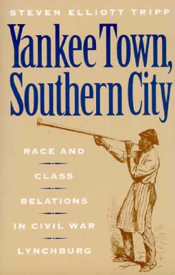 Yankee Town, Southern City: Race and Class Relations in Civil War Lynchburg (The American Social Experience, 14)