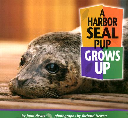Image for A Harbor Seal Pup Grows Up (Baby Animals)