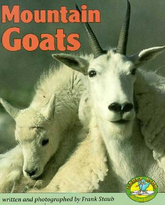 Mountain Goats (Early Bird Nature)
