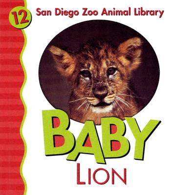 Baby Lion (San Diego Zoo Library)