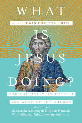 What Is Jesus Doing: God's Activity in the Life and Work of the Church