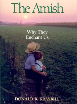 Image for The Amish: Why They Enchant Us