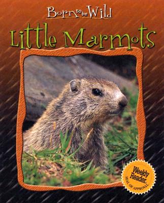 Little Marmots (Born to Be Wild)