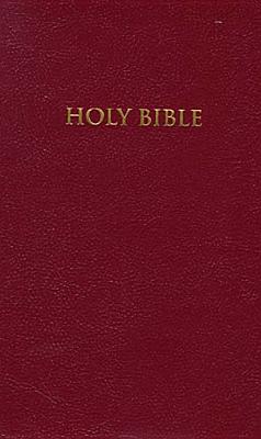 Image for Holy Bible: Gift And Award Edition [Red Imitation Leather]