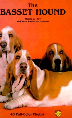 BASSET HOUND