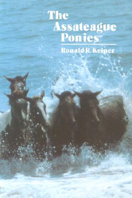 The Assateague Ponies