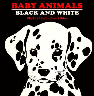 Baby Animals Black and White