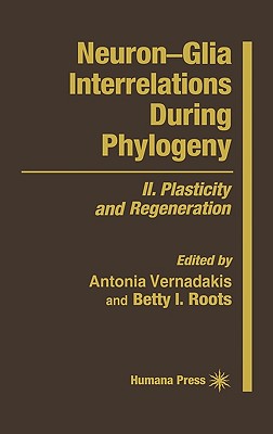 Neuron-Gila Interrelations During Phylogeny