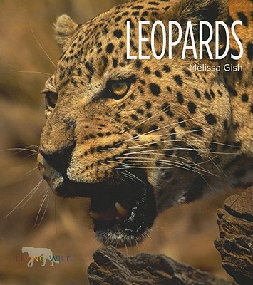 Living Wild: Leopards Image for Living Wild: Leopards