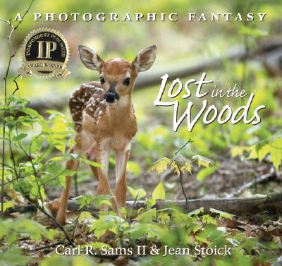 Lost In The Woods: A Photographic Fantasy