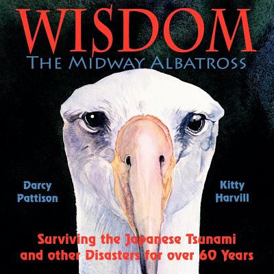 Image for Wisdom, The Midway Albatross: Surviving the Japanese Tsunami and other Disasters for over 60 Years
