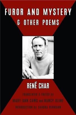Furor & Mystery and Other Writings