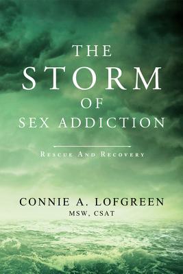Image for The Storm of Sex Addiction: Rescue and Recovery