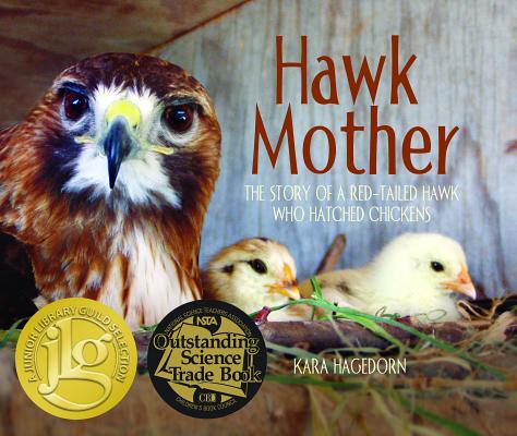 Hawk Mother: The Story of a Red-Tailed Hawk Who Hatched Chickens