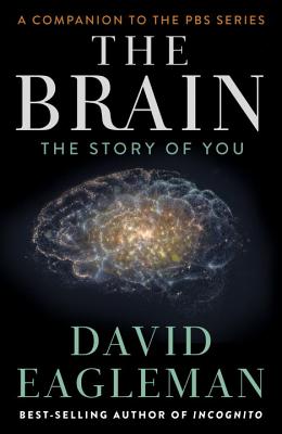 The Brain The Story of You