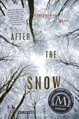 After the Snow (After the Snow, 1)