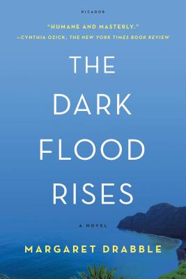 The Dark Flood Rises: A Novel