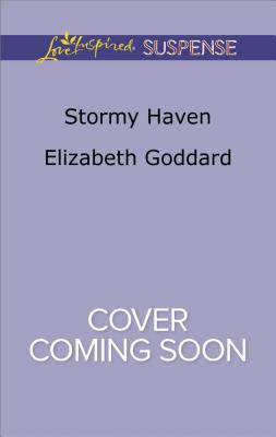 Stormy Haven (Coldwater Bay Intrigue, 2)
