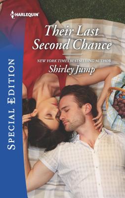 Their Last Second Chance (The Stone Gap Inn, 2)