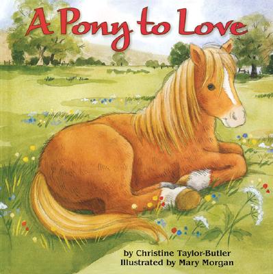 Pony to Love
