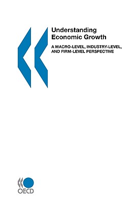 Image for Understanding Economic Growth: A Macro-level, Industry-level, and Firm-level Perspective