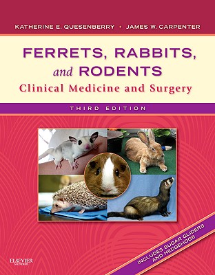 Ferrets, Rabbits, and Rodents: Clinical Medicine and Surgery