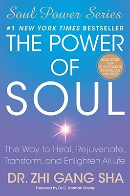 Image for The Power of Soul: The Way to Heal, Rejuvenate, Transform, and Enlighten All Life