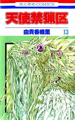 Image for Angel Sanctuary, Vol. 13