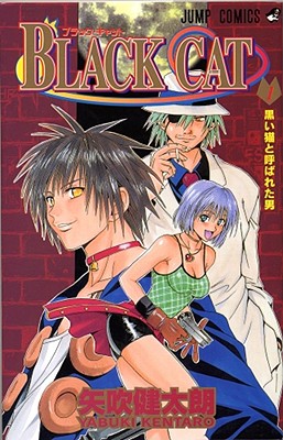 Black Cat, Vol. 2 (2)