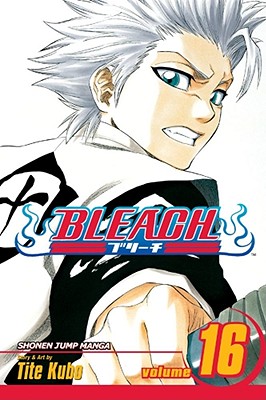 Image for Bleach, Vol. 16