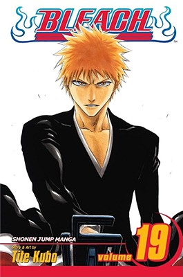 Image for Bleach, Vol. 19