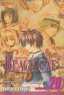Image for Black Cat, Vol. 20