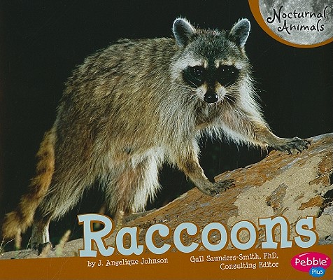 Raccoons (Nocturnal Animals)