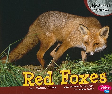 Red Foxes (Pebble Plus: Nocturnal Animals)