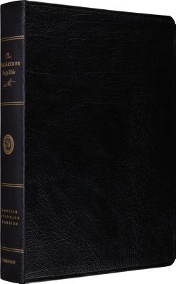 Image for MacArthur Study Bible-ESV